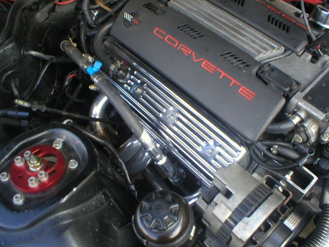 P1010018.JPG