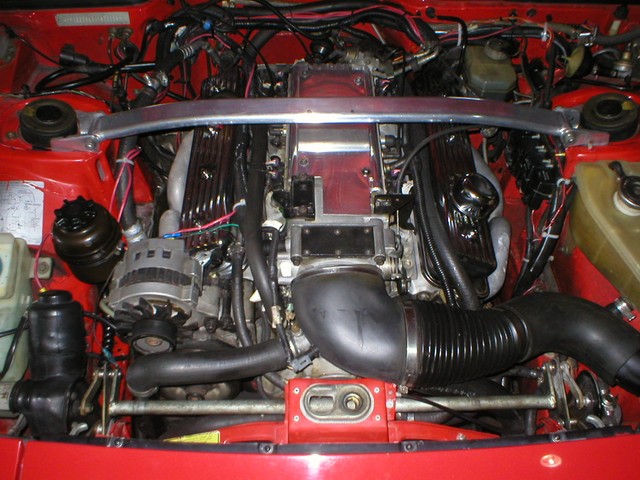 P1010001.JPG