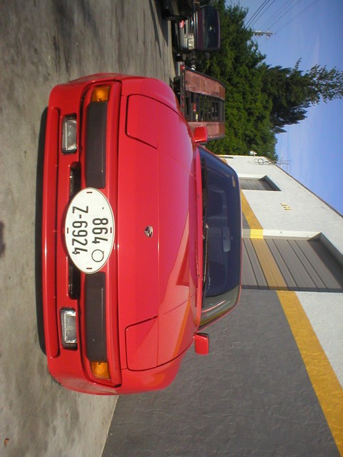 P1010010.JPG