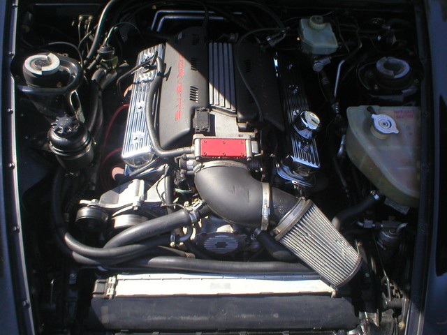 P1010015.JPG