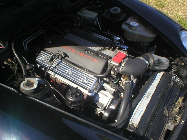P1010016.JPG