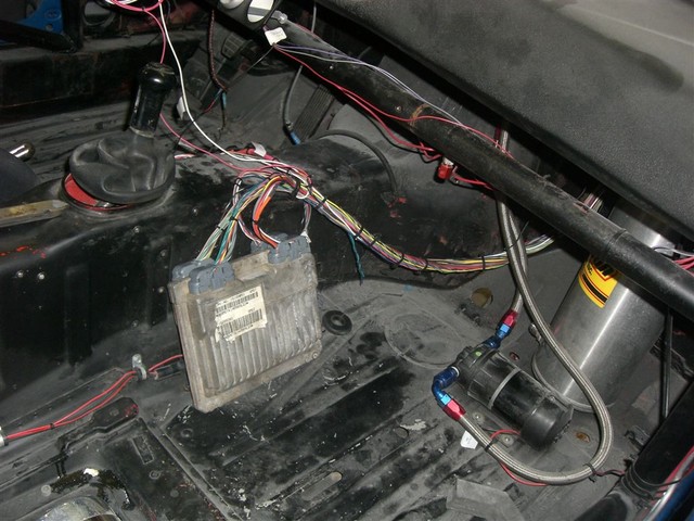 CIMG5391