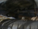 DSC01300