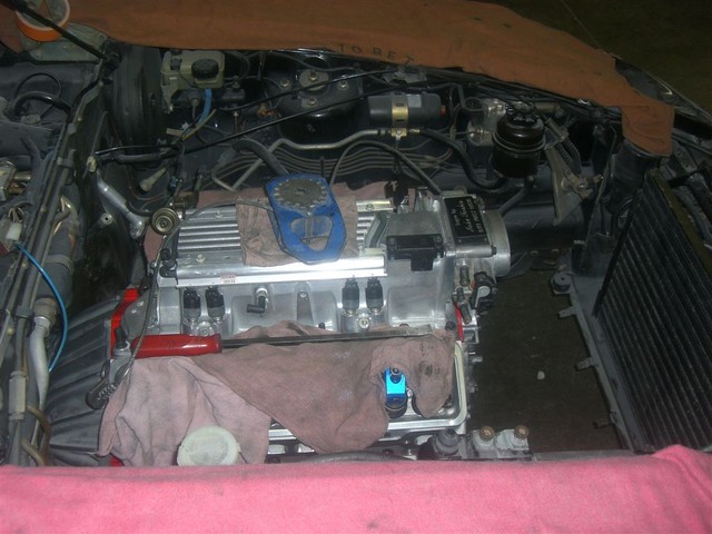 CIMG0213
