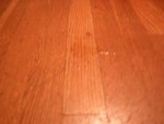 P1010101