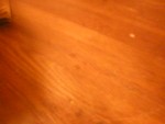 P1010104