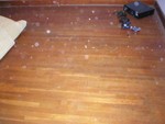 Wow, check out this beautiful wood floor under the carpet!