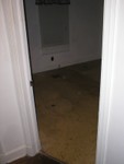 Standing in hallway looking into the 2nd bedroom which is the future baby's room. We will probably paint it as soon as we find out if it's a boy or a girl! 
