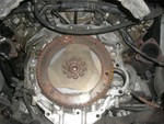 CIMG4505