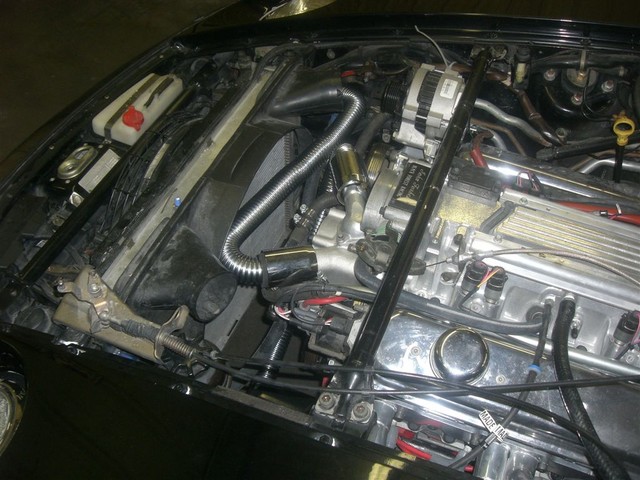 CIMG1319