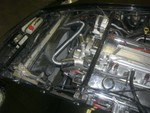 CIMG1319