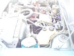 DSC00673