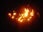 DSC00477
