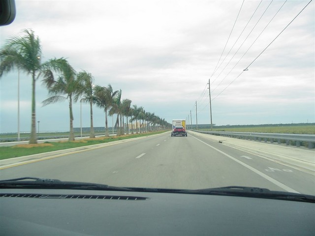 DSC00530