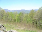 DSC00690.JPG