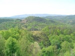 DSC00711.JPG