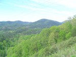 DSC00712.JPG