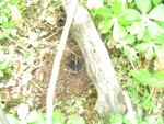 DSC00720.JPG