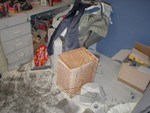 P1010004.JPG