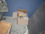 P1010005.JPG