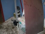 P1010007.JPG