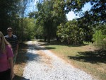 This is looking from the very back of the property out towards the front. The road is barely visible.