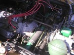 P1010020.JPG