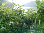DSC00997.JPG