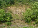 DSC01001.JPG