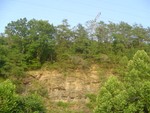 DSC01002.JPG