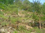 DSC01003.JPG