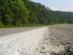 DSC01006.JPG