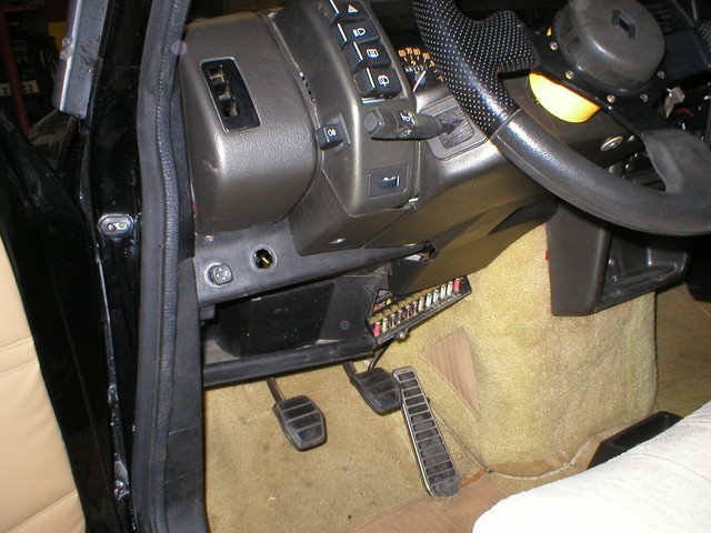 P4230039