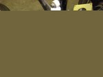 DSC00786