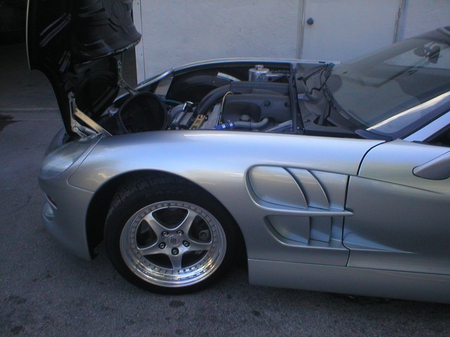 p1010024.JPG