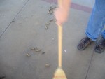 DSC00450.JPG