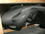 CIMG5345