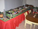 P1010029