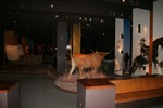 IMG 9263