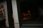 IMG 9268